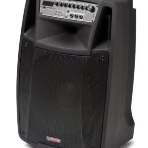 Cassa a Batteria 15" Audiodesign pro M2 15W/L con doppio radiomicrofoni a gelato